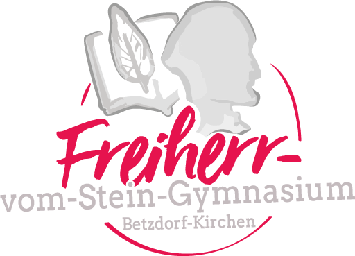 fvsgym.de